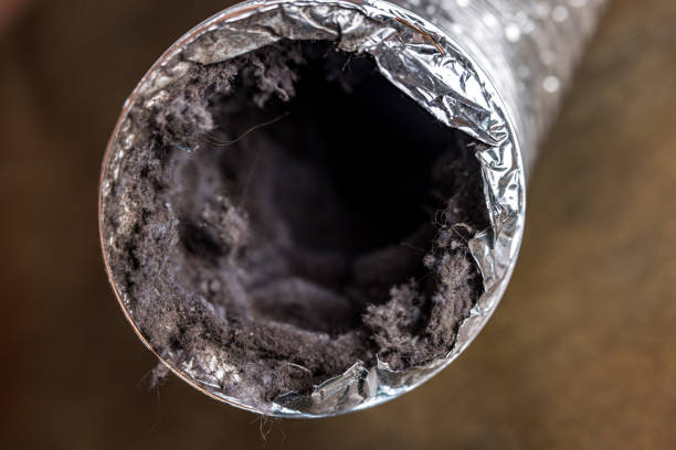 Best Home Air Vent Cleaning  in Brodhead, WI
